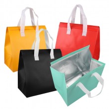 Non-Woven Cooler Bag
